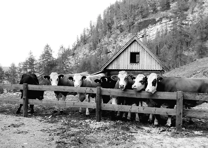 Troadkasten Biohof Kreilgut *