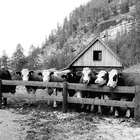 Troadkasten Biohof Kreilgut *